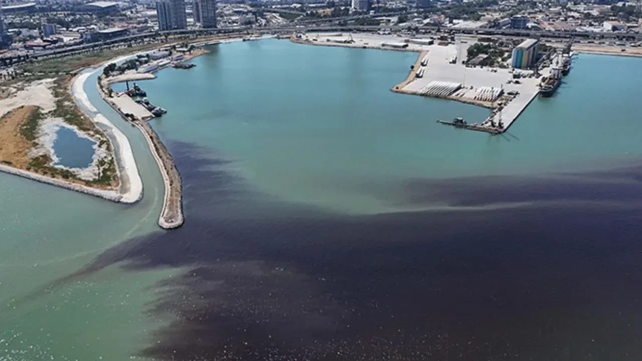 İzmir Körfezi’nde Balık Ölümleri Yeniden Başladı