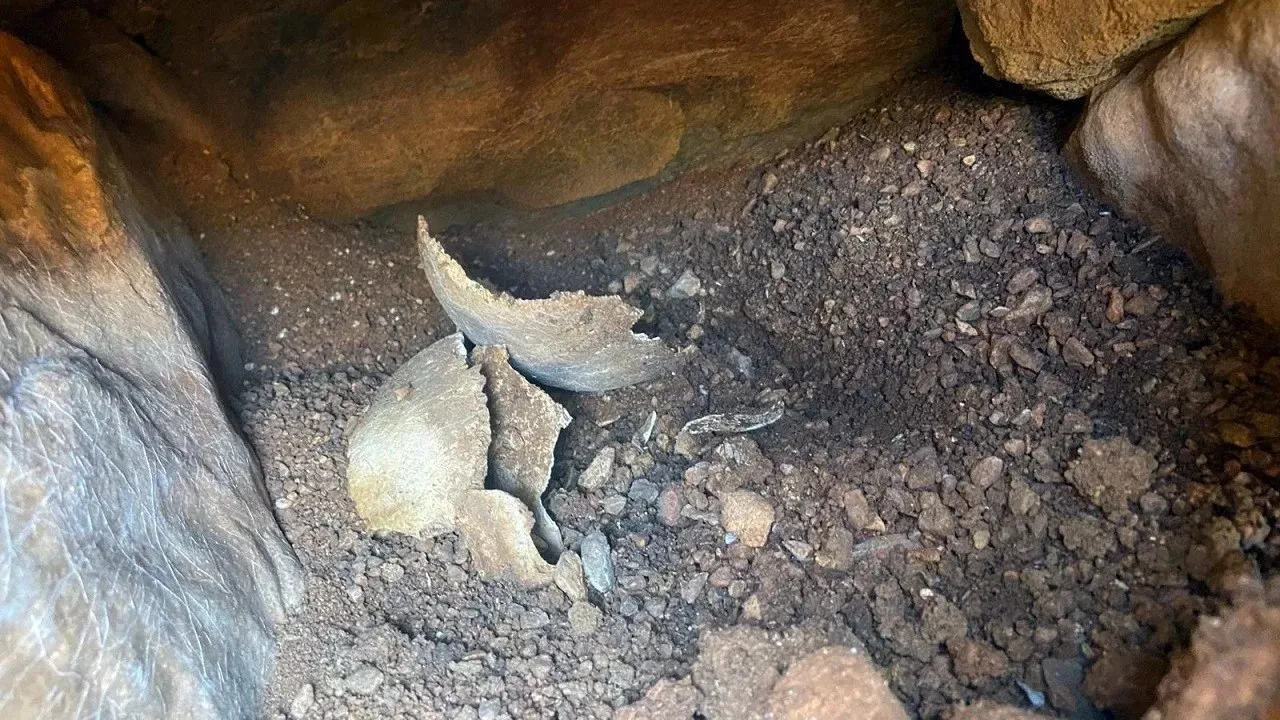 Muğla'da Su Deposu Çalışması Sırasında Tarihi Eser Bulundu