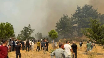 Çanakkale'deki Orman Yangınları Kontrol Altına Alındı