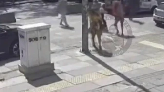 Ankara'da Maganda Saldırısı: Yaşlı Kadına Yumruklu Saldırı