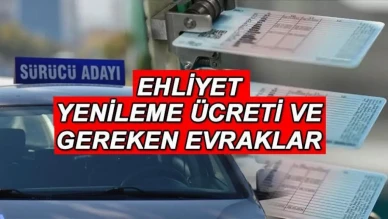 Ehliyet Yenileme Ücretleri ve Gerekli Belgeler 2025 Temmuz için Son Tarih ve Randevu Alma İpuçları