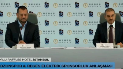 Reges Elektrik: Sahipleri ve Yönetim Yapısı