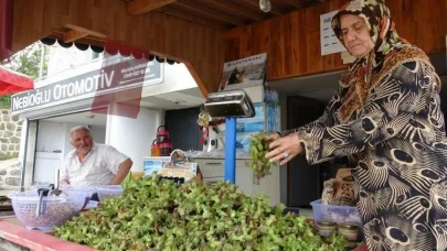 TMO'nun Açıkladığı Fındık Fiyatı 200 Lira, Tezgahlarda Fiyat 300 Lira Oldu