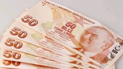 50 TL’nin Arkasında Kim Var? Fatma Aliye Kimdir?