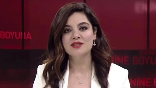 Televizyon Programcısı ve Sunucu Hülya Hökenek Kimdir?