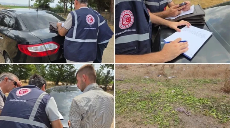 Hayvanlarına Yem Olarak Verdiği Biberler Nedeniyle Çiftçiye Ceza Uygulandı