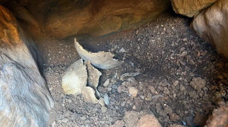 Muğla'da Su Deposu Çalışması Sırasında Tarihi Eser Bulundu